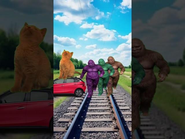 vfx 3 monster cat beby video vfx new short funny magic video ️