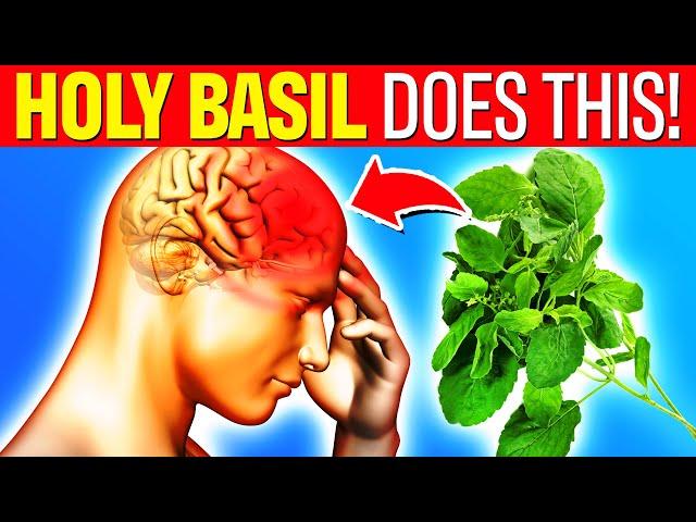 10 LIFE CHANGING Health Benefits Of HOLY BASIL (Tulsi) No One Told You