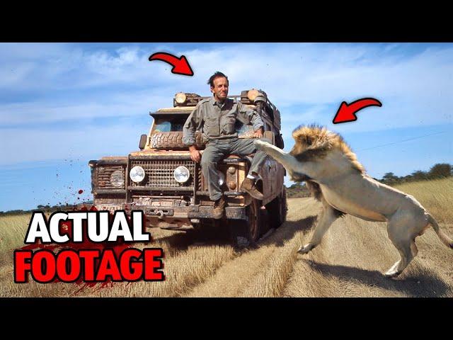 5 Most DISTURBING Animal Attacks at National Parks...