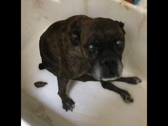 Found Lost Footage | Akira Taking A Bath