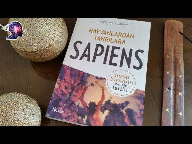 Hayvanlardan Tanrılara Sapiens (Belgesel)