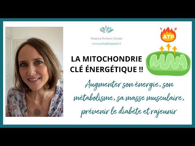 LA MITOCHONDRIE, CLÉ ÉNERGÉTIQUE ! (fatigue, poids, moral...)