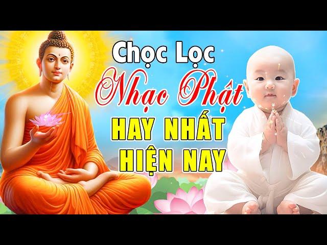 Nhạc Phât - Nhạc Phật Giáo - LK Nhạc Phật Giáo Hay Nhất 2024 #100 CA KHÚC CHỮ ĐỜI #NgheThấmThía