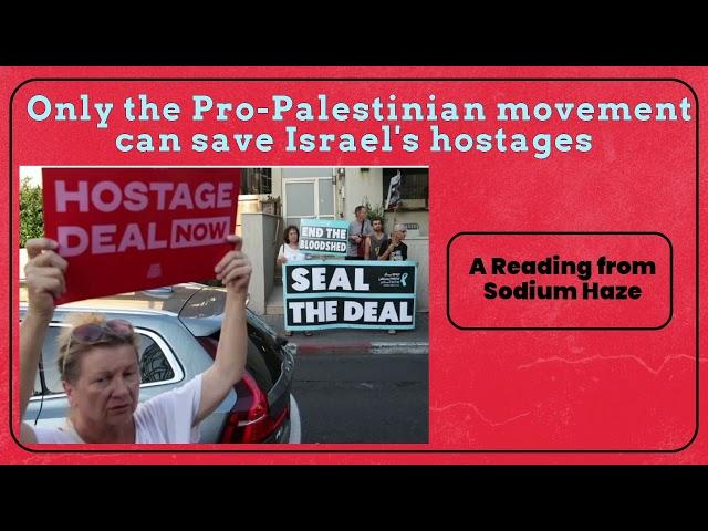 Only the pro-Palestinian movement will ever save the Israeli hostages in Gaza