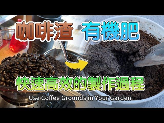 快速高效的咖啡渣肥的制作流程 | 咖啡渣有机肥的使用方法 | 12天快速发酵咖啡渣