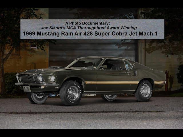 Thoroughbred 1969 Ram Air 428 Super Cobra Jet Mach 1