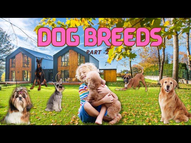 Paws Barks and Beyond | Popular Dog Breeds – Part 2| Animals | Learning for Kids!..