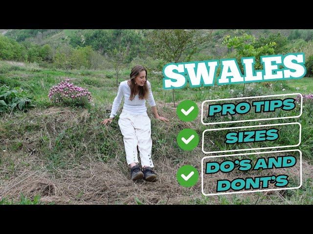 Before You Create Permaculture Swales, Watch this Swale Guide and Example!