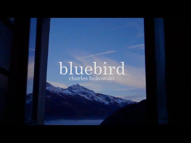 Bluebird by Charles Bukowski