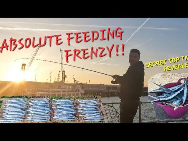 MASSIVE  FEEDING FRENZY!!  TIPS   ON CATCHING HUGE AMOUNTS OF FISH! #viral #fishing