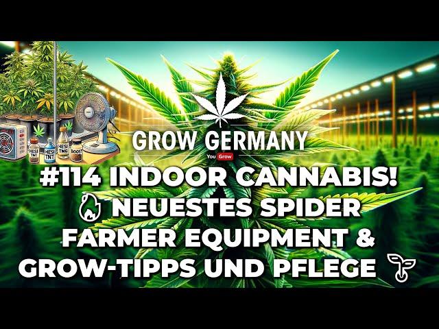 #114 Indoor Cannabis!  Neuestes Spider Farmer Equipment Unboxing & Grow-Tipps, Düngung und Pflege 