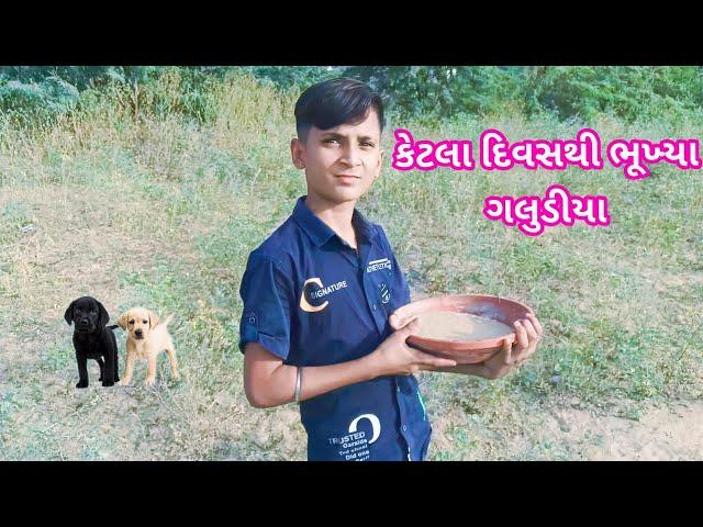 કેટલા દિવસ થયા, બિચારાં ગલુડિયા ભૂખ્યા છે   bhukha pyasa dog