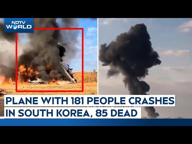 South Korea Plane | Jeju Air Flight Crashes With 181 On Board In Muan Intl. Airport, South Korea