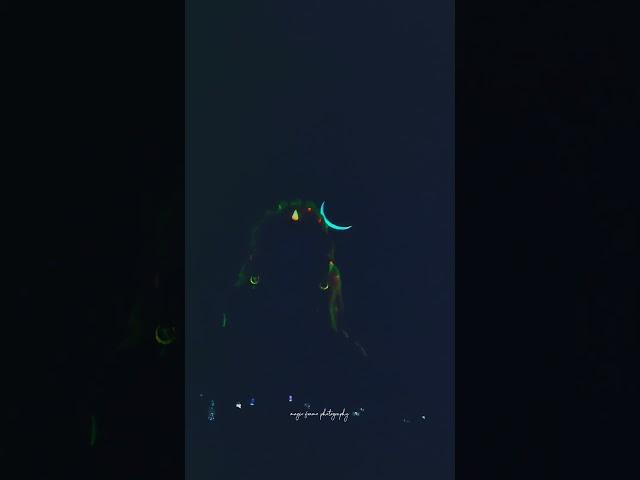 adiyogi #adiyogi #shiva #adiyogilightshow