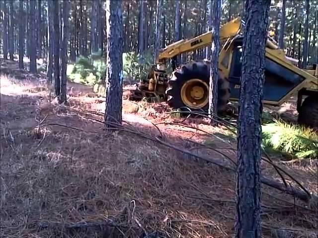 Bell Feller buncher thinnings(2014)