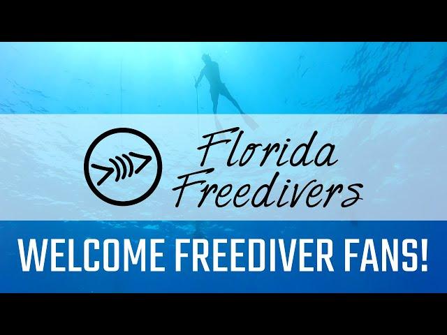 Welcome to Florida Freedivers YouTube Channel!