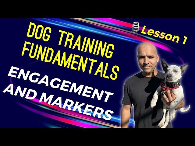 Dog Training Fundamentals: Lesson 1