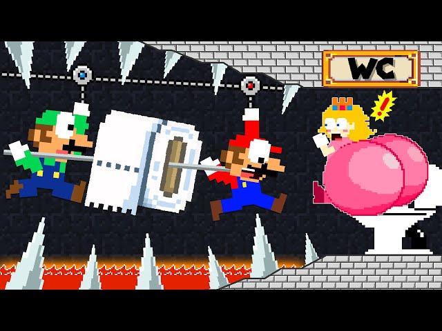 Mario and Luigi Bring Toilet Paper to Peach in WC Maze | Game Animation