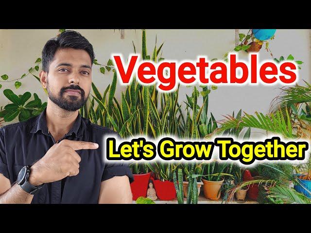 How to grow vegetables at home !! Let's Grow Together #vegetables