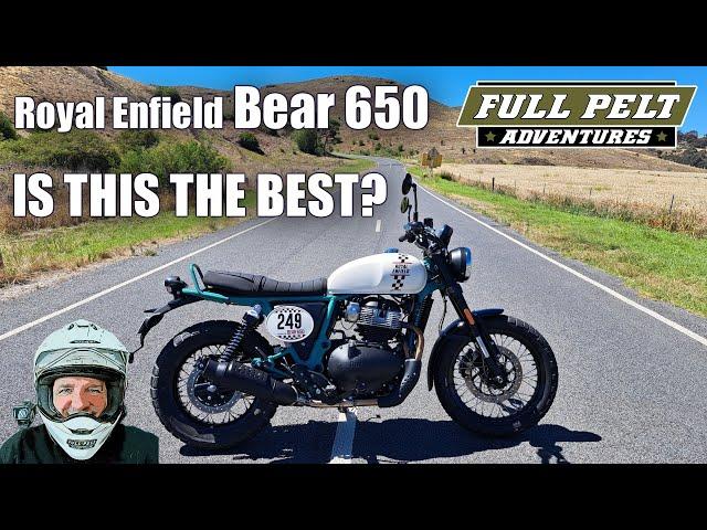 2024 Royal Enfield Bear 650 - It's the Best.