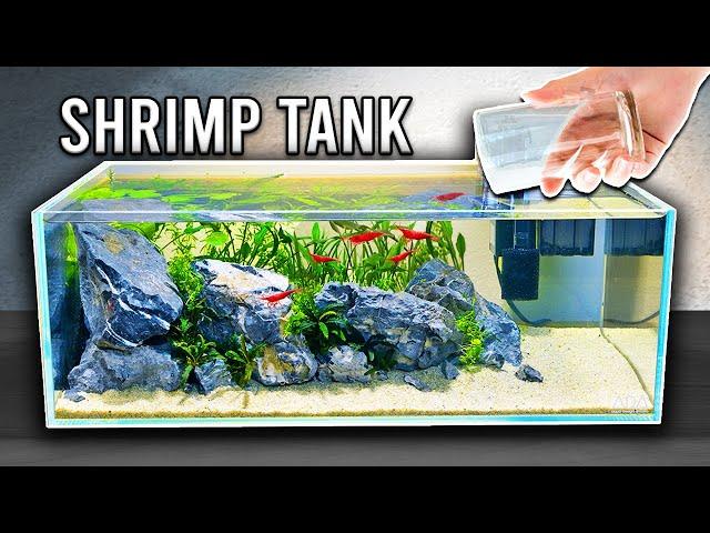 Beautiful & Easy Planted Tank For Shrimp (Step by Step)