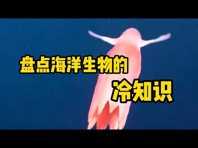 盘点几个海洋生物的冷知识，还挺有趣的。#海洋生物 #海洋 #科普