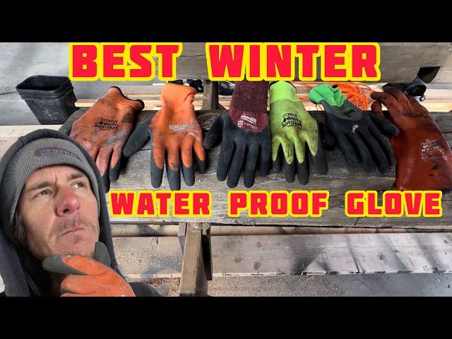 The BEST WATER PROOF Winter Glove!