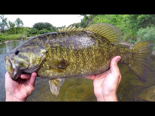 Wade Fishing River Smallies