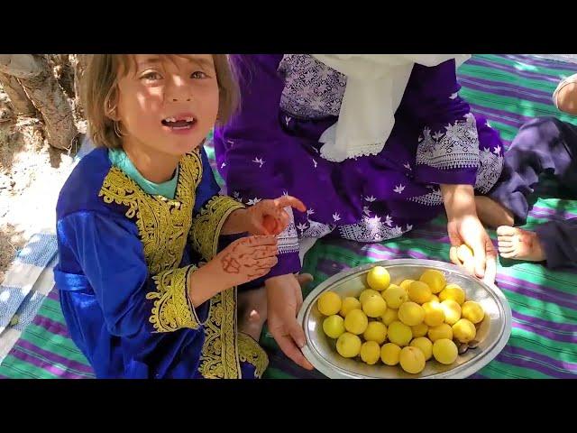 تفریح و زردالو خوردن در طبیعت زیبای جاغوری(قسمت دوم)#new#jaghori #afghanistan