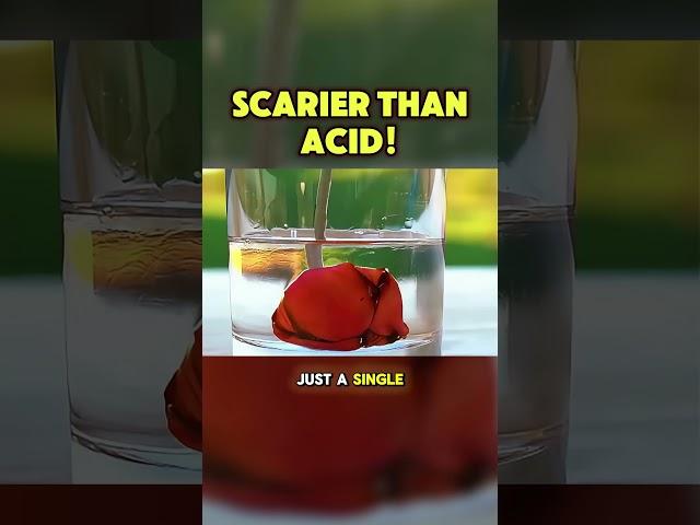 This Nail Polish Remover Dissolves Everything!