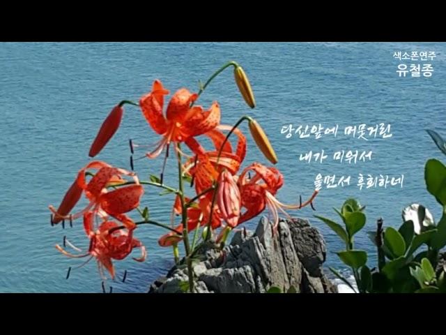 울면서 후회하네 - 주현미 [유철종] 나팔부는 꽃다지