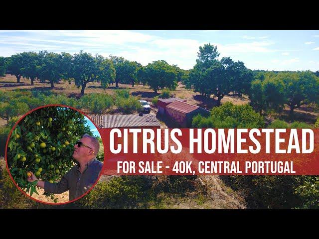 CITRUS HOMESTEAD, 40K EUROS - CENTRAL PORTUGAL FARM REAL ESTATE INVESTMENT