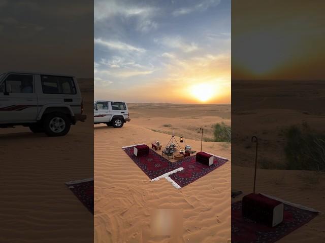 "Why do sheikhs hold gatherings in the desert? #shortvideo
