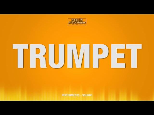 Trumpet - SOUND EFFECT - Trompete SOUNDS