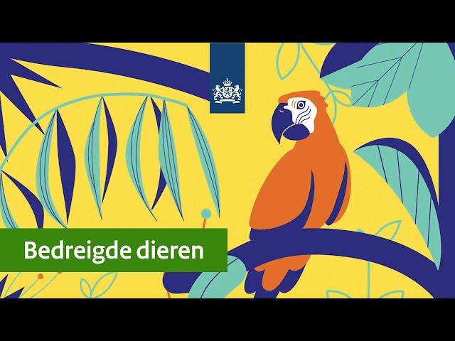 CITES | Zo werkt de overheid aan CITES