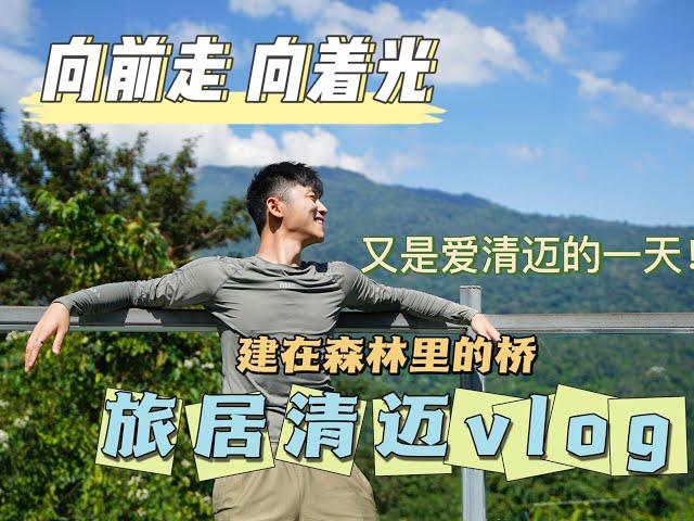 泰国清迈旅居vlog｜又是被治愈的一天 架在森林里的桥居然还能这么玩 清迈一天一玩法 清迈皇后公园植物园 ｜清迈vlog｜清迈旅行