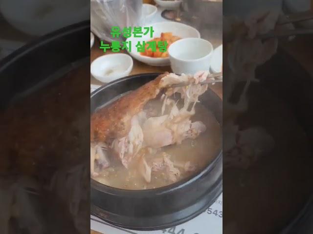 구미시 봉곡동 유성본가 누룽지삼계탕으로 몸보신 든든합니다 #구미시 #봉곡동맛집 #유성본가누룽지삼계탕 #몸보신 #구미동네삼촌 #윤승목