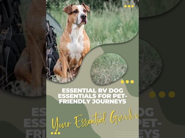 Essential RV Dog Essentials for Pet-Friendly Journeys!