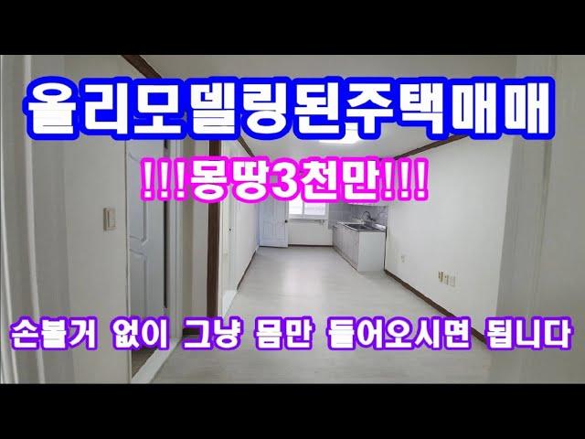 바닷가 주택매매 아늑한 남향의 저렴한 주택매매