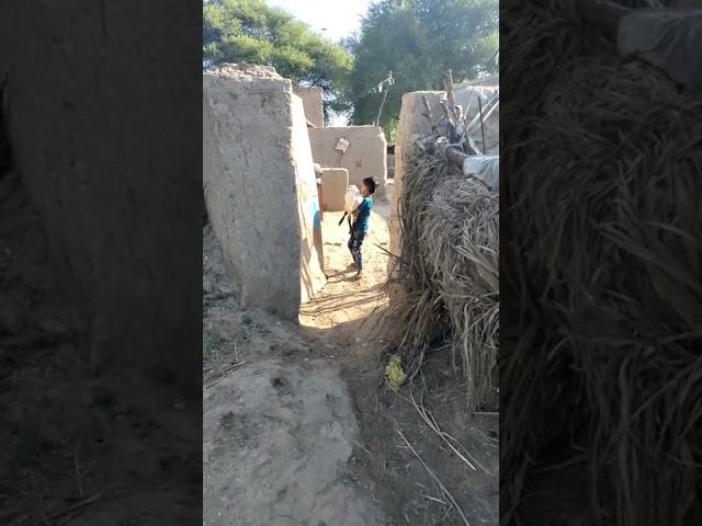 life of village