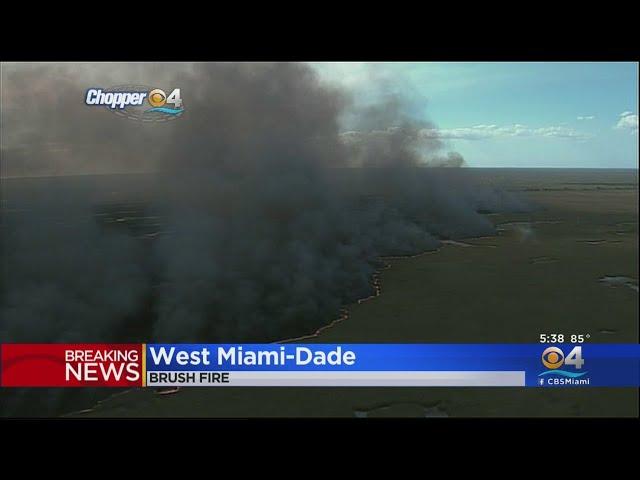 Brush Fire In West Miami-Dade