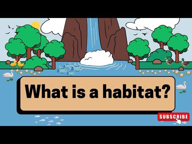 what is a habitat for kids | what is a habitat grade 4 | animal habitat project