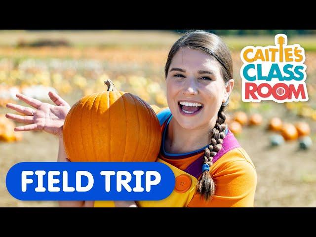 Let's Visit A Pumpkin Patch! | Caitie's Classroom Field Trips | Learn How To Make A Jack O'Lantern