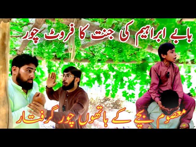 BABAY IBRAHIM KI JNAT KA FRUIT CHOOR | MSOOM BATCHY K HATHON GRIFTAR | Funny drama | AQ Production