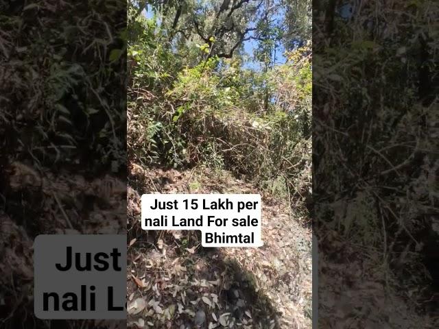 10 Nali Land for sale Joon estate Bhimtal Nainital uttrakhand Just 15 Lakh per nali Call.8218146955