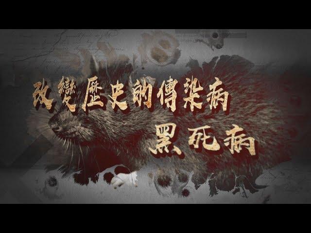 【台灣演義】黑死病天花 2020.03.15 | Taiwan History