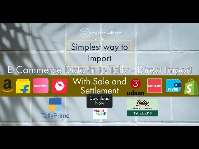 E-Commerce Data import into Tally | Simplest way - Direct Import @LearnWell