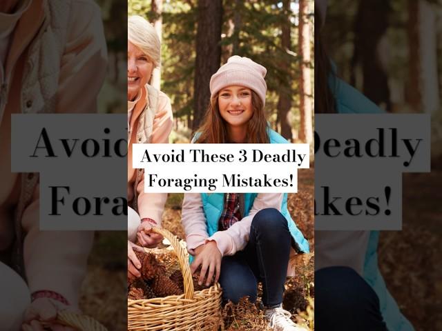 Avoid These 3 Deadly Foraging Mistakes! #ForagingMistakes #SafeForaging #WildMushrooms #ForagingTips