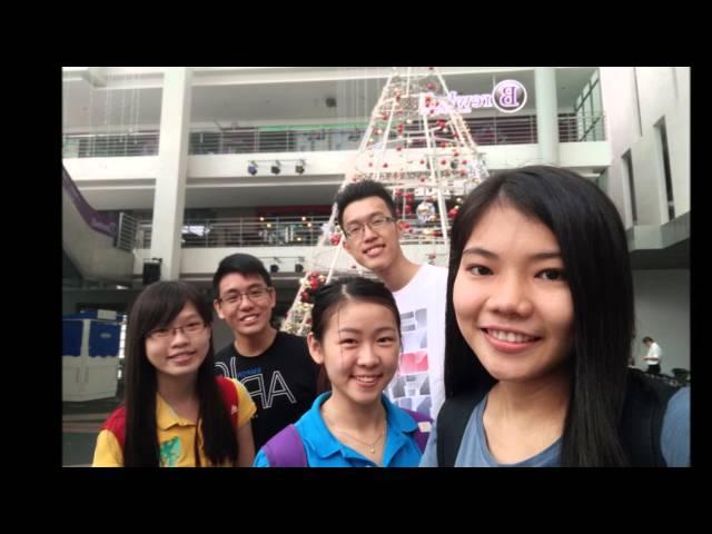 Managemnet Society (Direct Line Video)