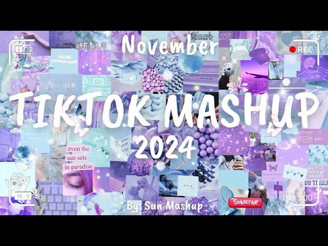 Tiktok Mashup November 2024 (Not Clean)